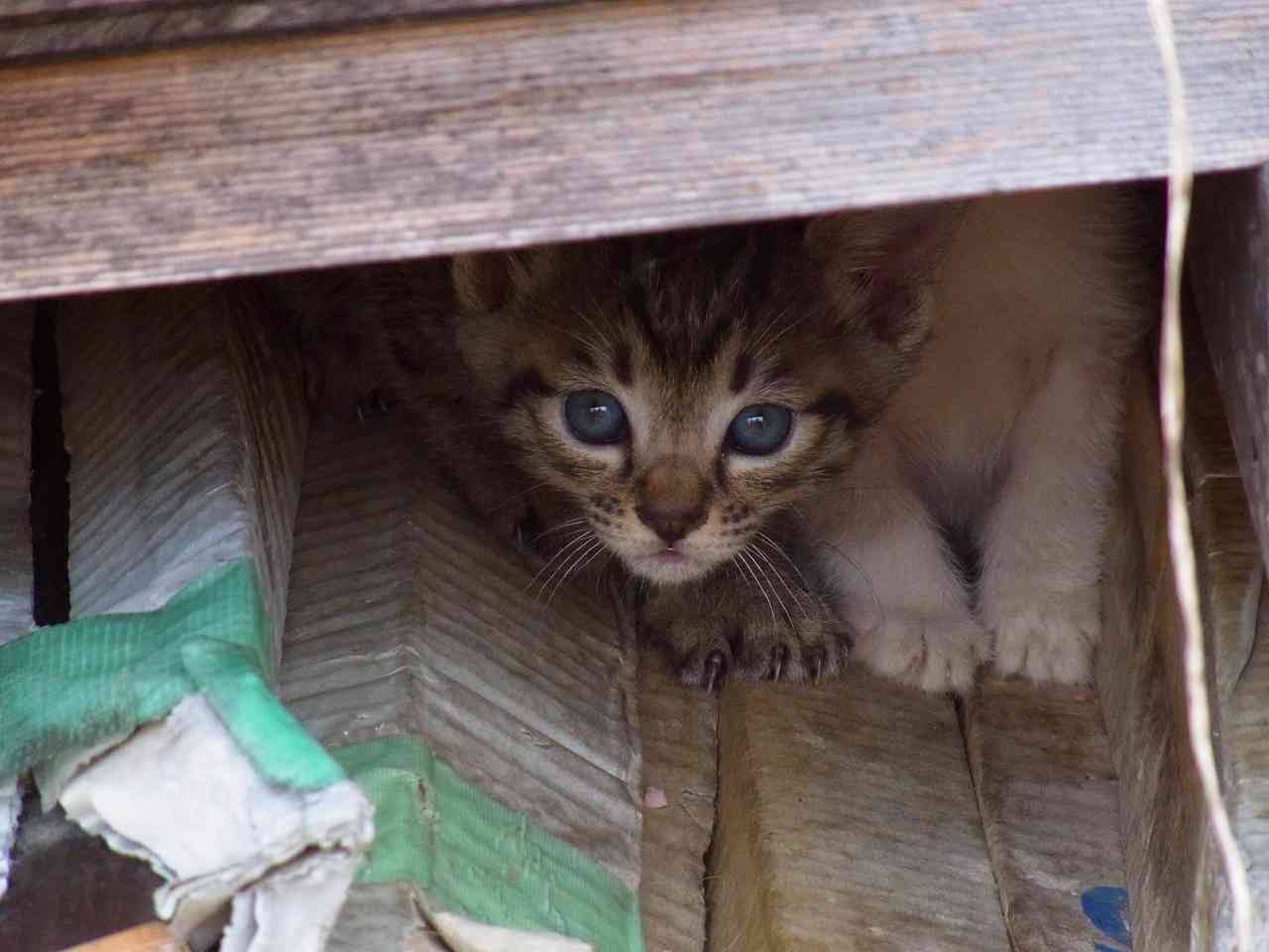 はじめまして。